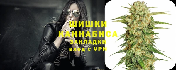 сатива Володарск