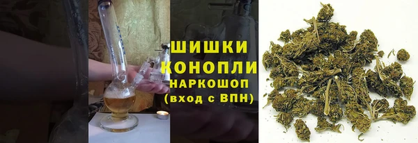 сатива Володарск