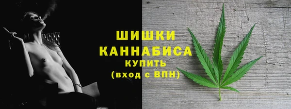 сатива Володарск