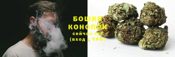 сатива Володарск