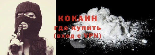 сатива Володарск